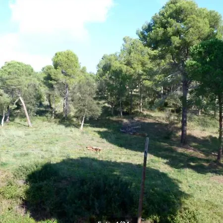 Con Fantasticas Vistas Platja d'Aro