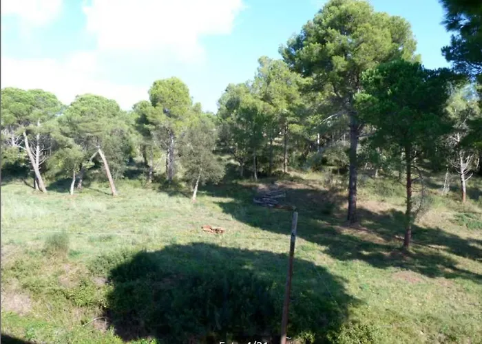 Con Fantasticas Vistas بلاتجا ذارو